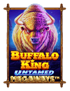 เส้นทางสู่ความสนุกกับทางเข้า sbobet 365 ที่ไม่ควรพลาด