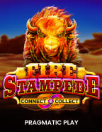 แนะนำทางเข า sbobet football สำหรับมือใหม่ที่ไม่ควรพลาด